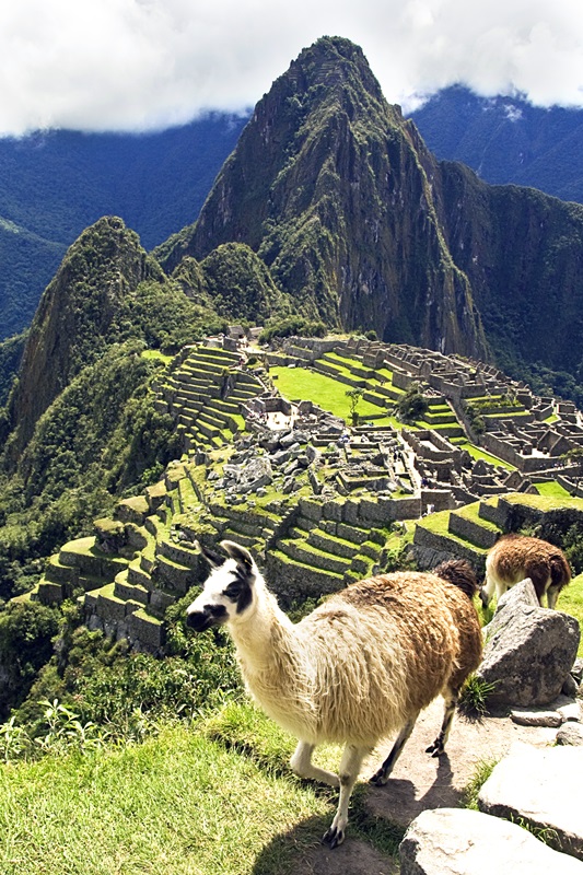 Machu Picchu postcard, Dimitry B CC bit.ly1M2I7t5