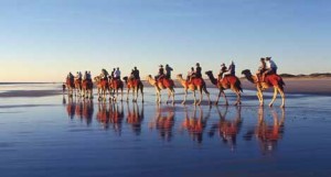 Camelr ride Tourism Australia