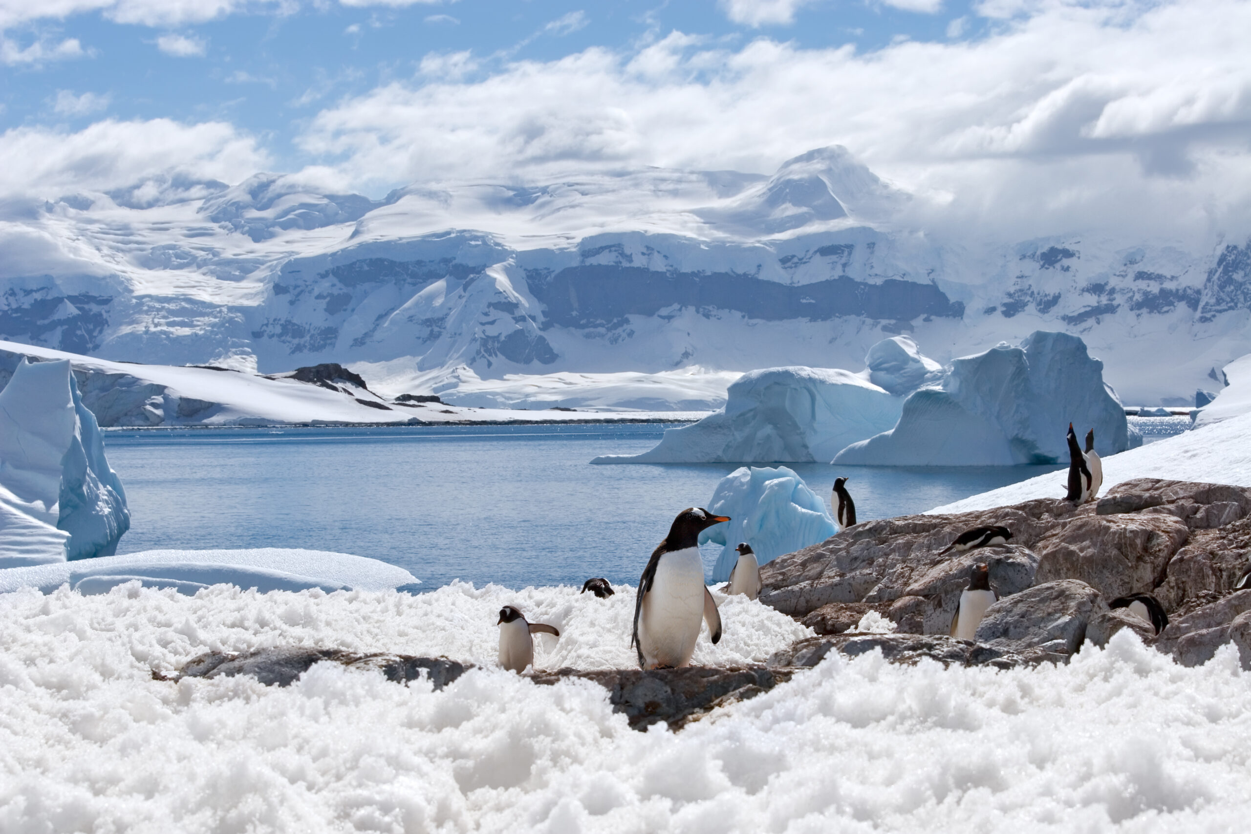 Terra Nova Expeditions to make Antarctica accessible for all